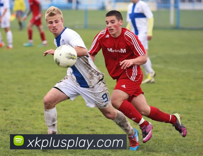 星空体育平台生态图