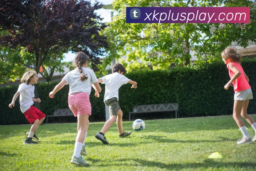 星空体育全站App